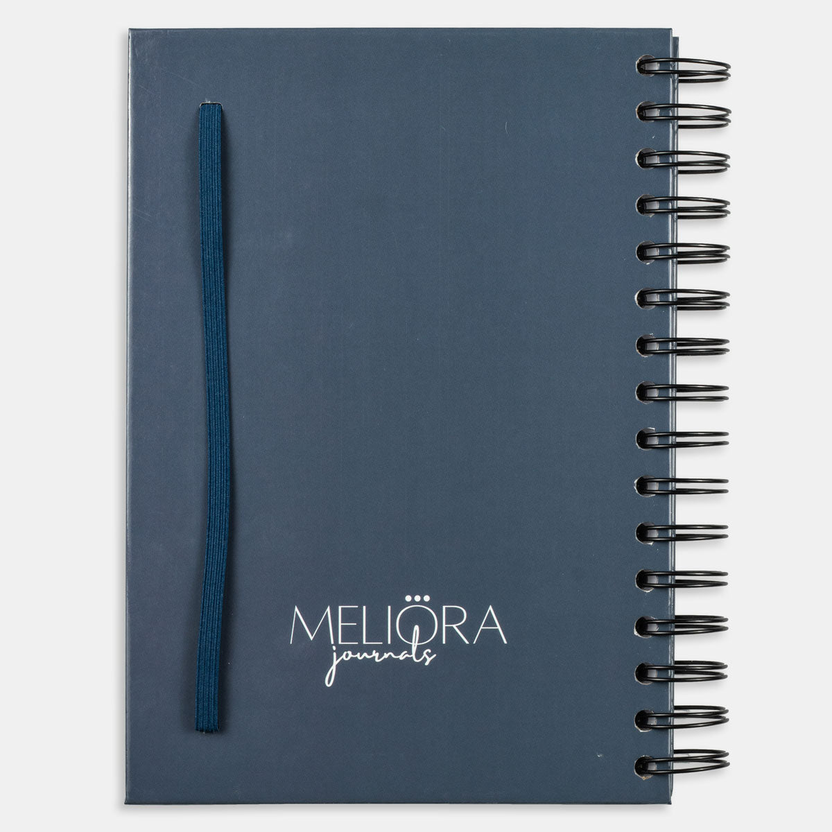 2024 Wellness Workbook - Dark Blue