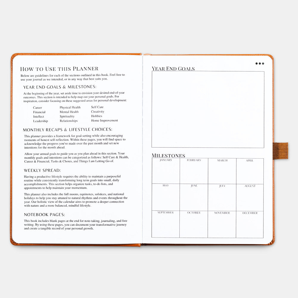 2025 Wellness Workbook - Burnt Orange