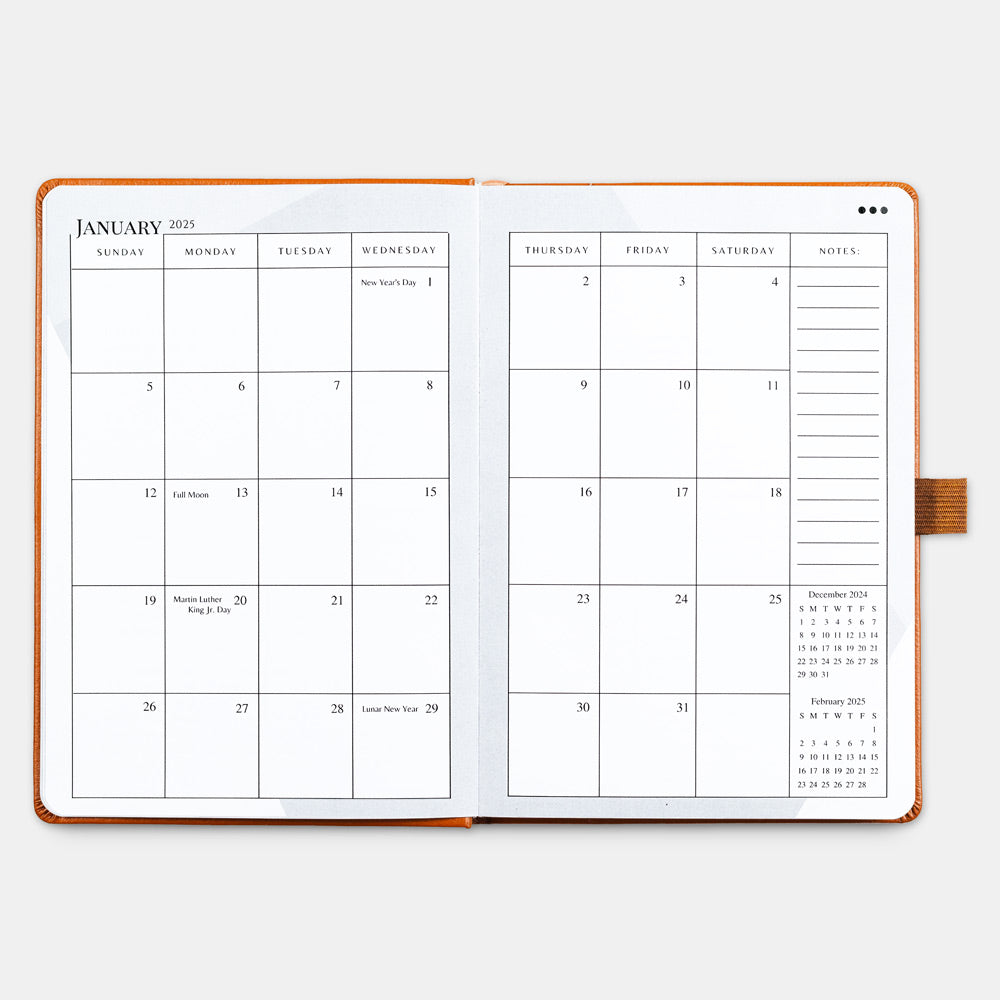 2025 Wellness Workbook - Burnt Orange